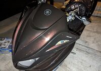 PXL_20230408_121636264_R